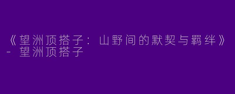 《望洲顶搭子：山野间的默契与羁绊》-望洲顶搭子