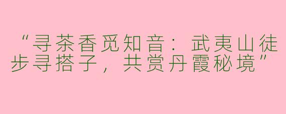 “寻茶香觅知音：武夷山徒步寻搭子，共赏丹霞秘境”