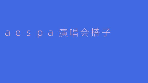 aespa演唱会搭子