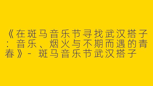 《在斑马音乐节寻找武汉搭子：音乐、烟火与不期而遇的青春》-斑马音乐节武汉搭子