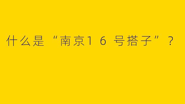 什么是“南京16号搭子”？