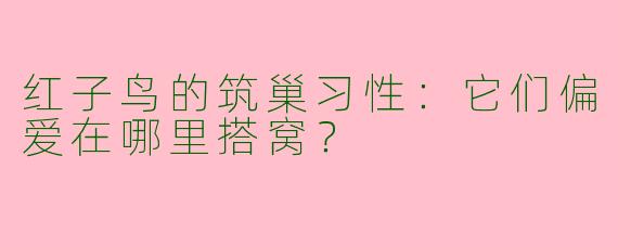 红子鸟的筑巢习性：它们偏爱在哪里搭窝？