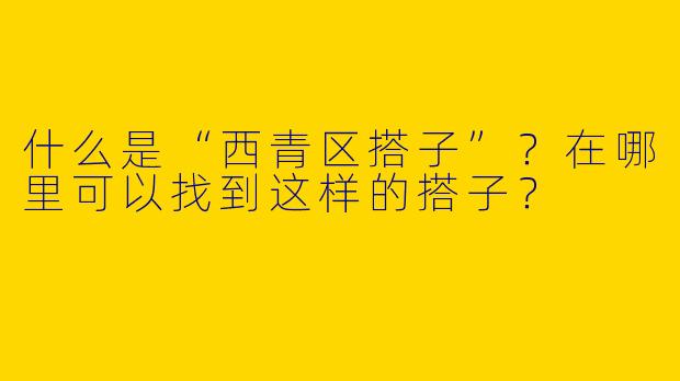 什么是“西青区搭子”？在哪里可以找到这样的搭子？