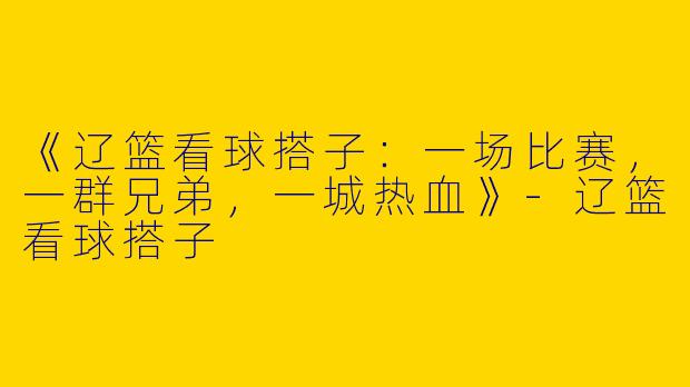 《辽篮看球搭子：一场比赛，一群兄弟，一城热血》-辽篮看球搭子
