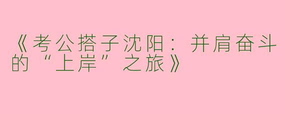 《考公搭子沈阳：并肩奋斗的“上岸”之旅》