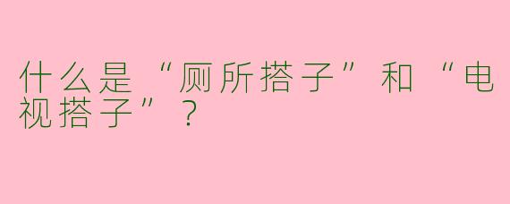 什么是“厕所搭子”和“电视搭子”？