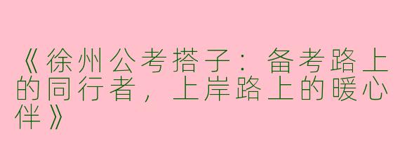 《徐州公考搭子：备考路上的同行者，上岸路上的暖心伴》