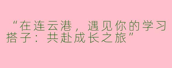 “在连云港，遇见你的学习搭子：共赴成长之旅”