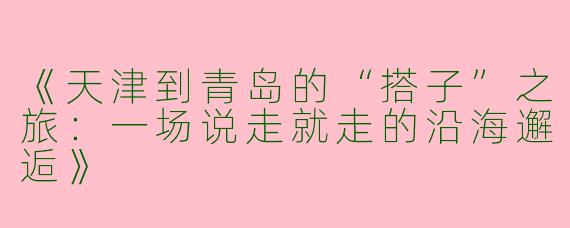 《天津到青岛的“搭子”之旅：一场说走就走的沿海邂逅》