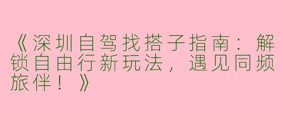 《深圳自驾找搭子指南：解锁自由行新玩法，遇见同频旅伴！》