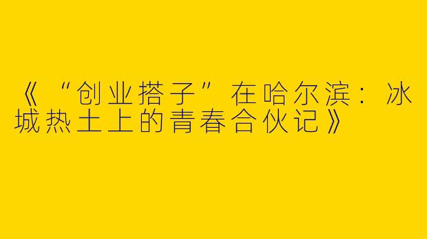 《“创业搭子”在哈尔滨：冰城热土上的青春合伙记》