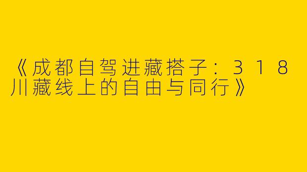 《成都自驾进藏搭子：318川藏线上的自由与同行》