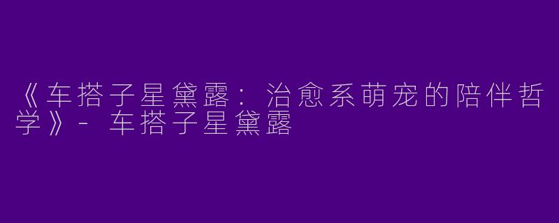《车搭子星黛露：治愈系萌宠的陪伴哲学》-车搭子星黛露