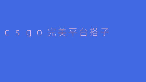 csgo完美平台搭子