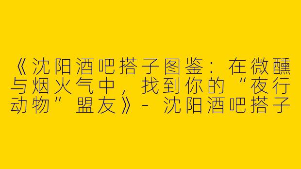 《沈阳酒吧搭子图鉴：在微醺与烟火气中，找到你的“夜行动物”盟友》-沈阳酒吧搭子