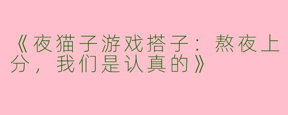《夜猫子游戏搭子：熬夜上分，我们是认真的》