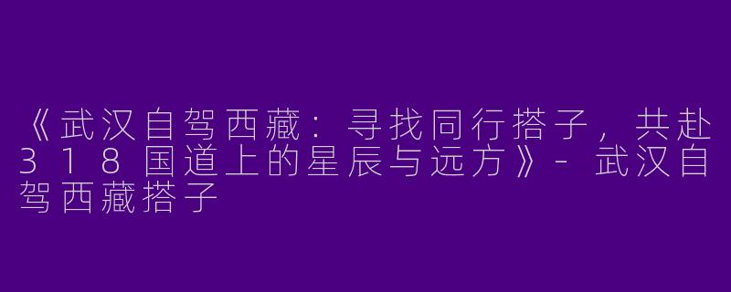 《武汉自驾西藏：寻找同行搭子，共赴318国道上的星辰与远方》-武汉自驾西藏搭子