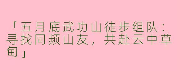 「五月底武功山徒步组队：寻找同频山友，共赴云中草甸」