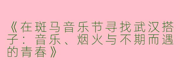 《在斑马音乐节寻找武汉搭子：音乐、烟火与不期而遇的青春》