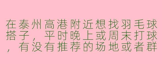 在泰州高港附近想找羽毛球搭子，平时晚上或周末打球，有没有推荐的场地或者群组可以加入？