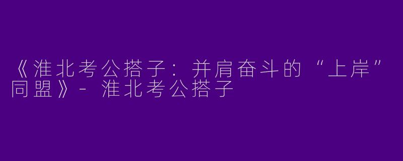 《淮北考公搭子：并肩奋斗的“上岸”同盟》-淮北考公搭子