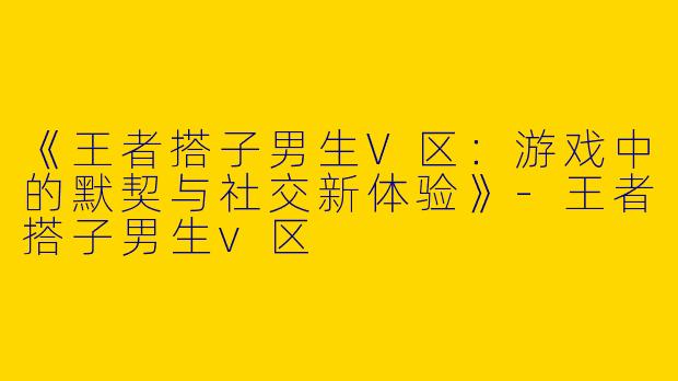《王者搭子男生V区：游戏中的默契与社交新体验》-王者搭子男生v区