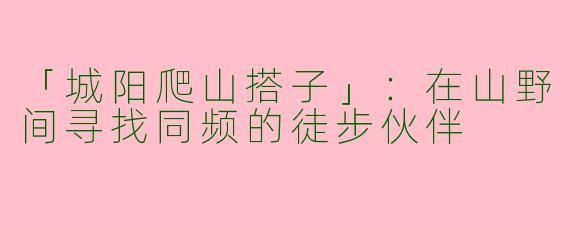 「城阳爬山搭子」：在山野间寻找同频的徒步伙伴