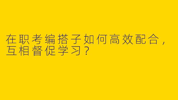 在职考编搭子如何高效配合，互相督促学习？