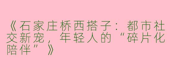 《石家庄桥西搭子：都市社交新宠，年轻人的“碎片化陪伴”》