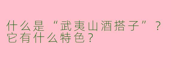 什么是“武夷山酒搭子”？它有什么特色？