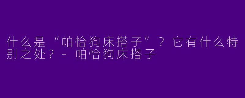 什么是“帕恰狗床搭子”？它有什么特别之处？-帕恰狗床搭子