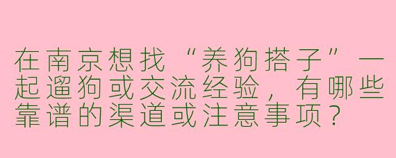 在南京想找“养狗搭子”一起遛狗或交流经验，有哪些靠谱的渠道或注意事项？
