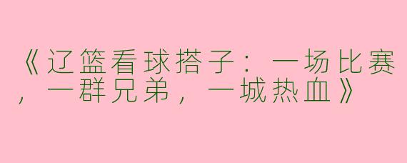 《辽篮看球搭子：一场比赛，一群兄弟，一城热血》