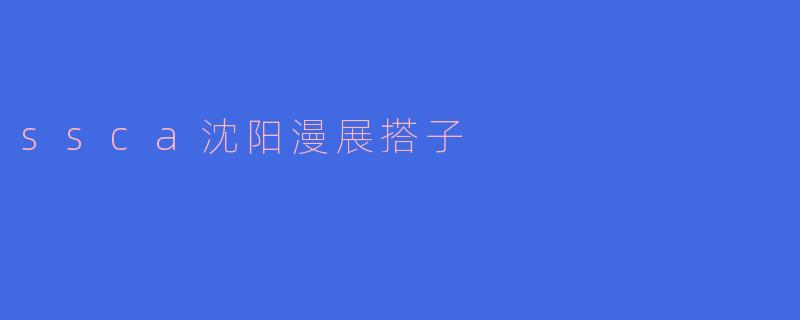 《SSCA沈阳漫展搭子指南：从“社恐”到“面基达人”的二次元社交攻略》