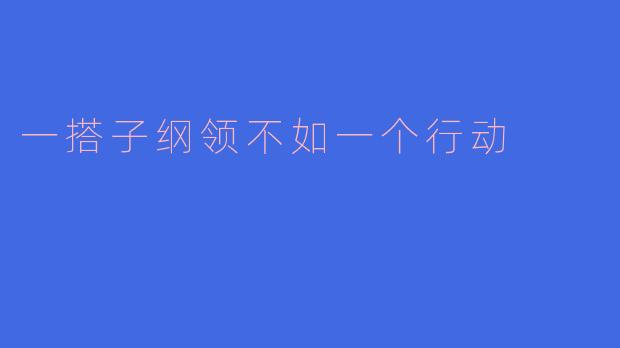 一搭子纲领不如一个行动