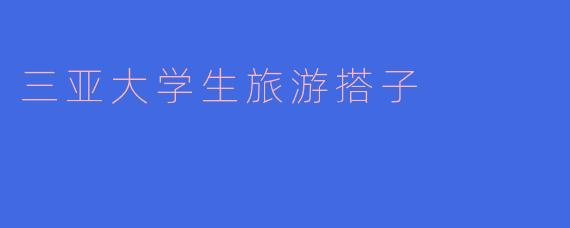 三亚大学生旅游搭子