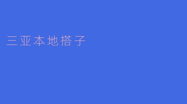 三亚本地搭子