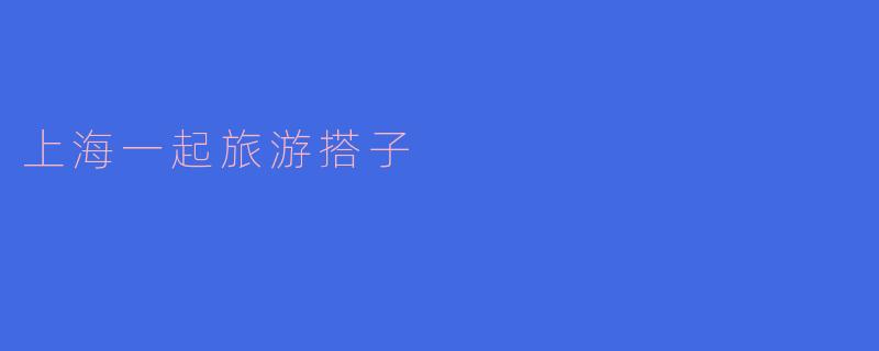 上海一起旅游搭子