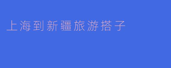 上海到新疆旅游搭子