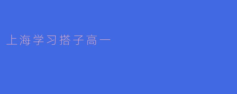 上海学习搭子高一