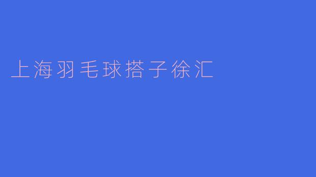 上海羽毛球搭子徐汇