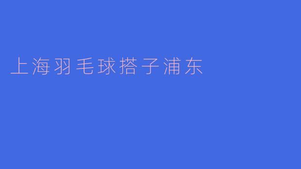 上海羽毛球搭子浦东