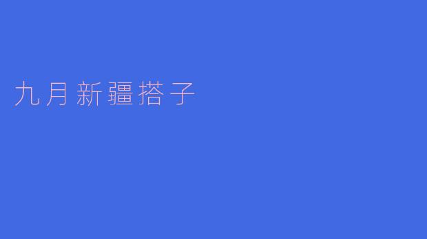 九月新疆搭子