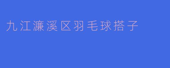 九江濂溪区羽毛球搭子