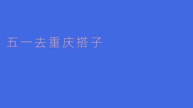 五一去重庆搭子