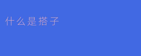 什么是搭子