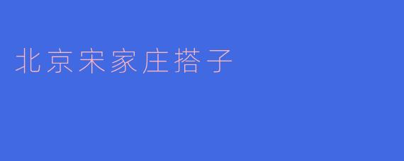 北京宋家庄搭子