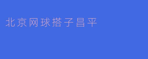北京网球搭子昌平