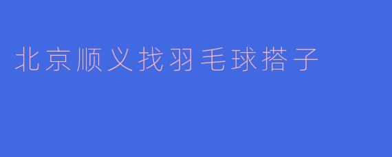 北京顺义找羽毛球搭子