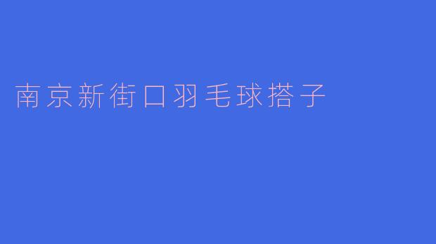 南京新街口羽毛球搭子